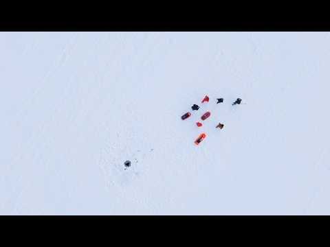 Image Thumbnail for video: Beneath the Ice: A Scientist’s Winter Awakening