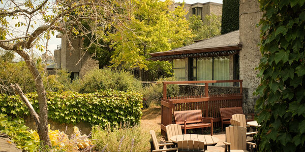 Alumni House Tony Storey courtyard in the summer, lush green trees and ivy surround patio furniture