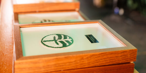 Framed 2025 Alumni Award