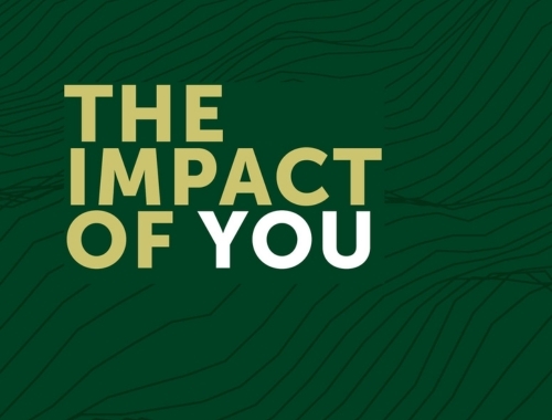 The words The Impact of You on green background