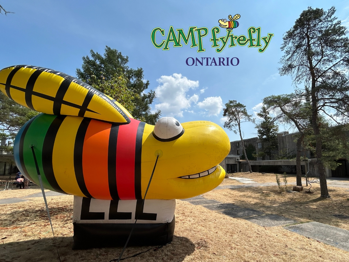 A large blow up of a colourful fly, the logo of camp fYrefly