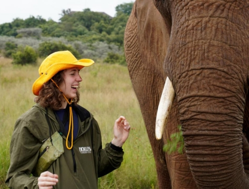 A woman standing beside an elephant, with a yellow bucket hat on, laughing